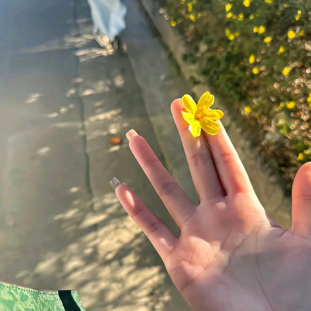 芸生