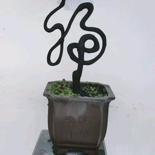 -老实人