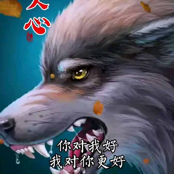 🐺🐺