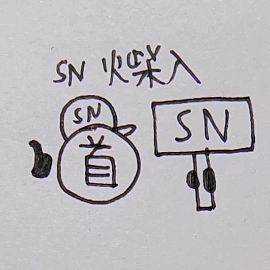 SN火柴人（缓更）