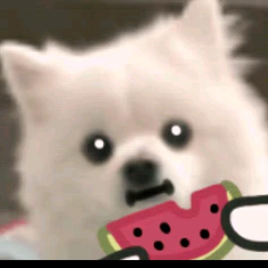 大爱梦求真（暗区突围）