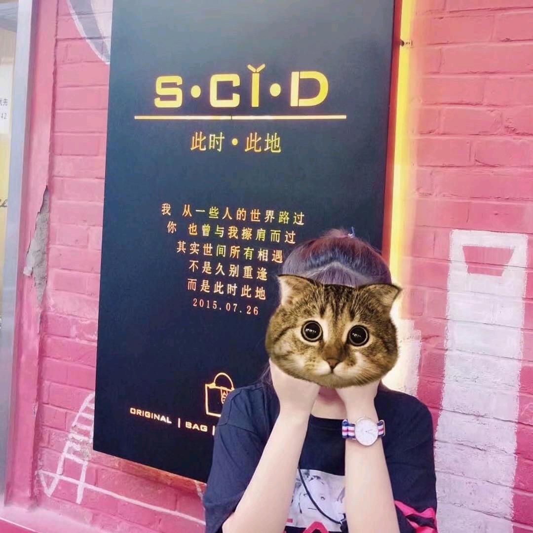 晴晴啊