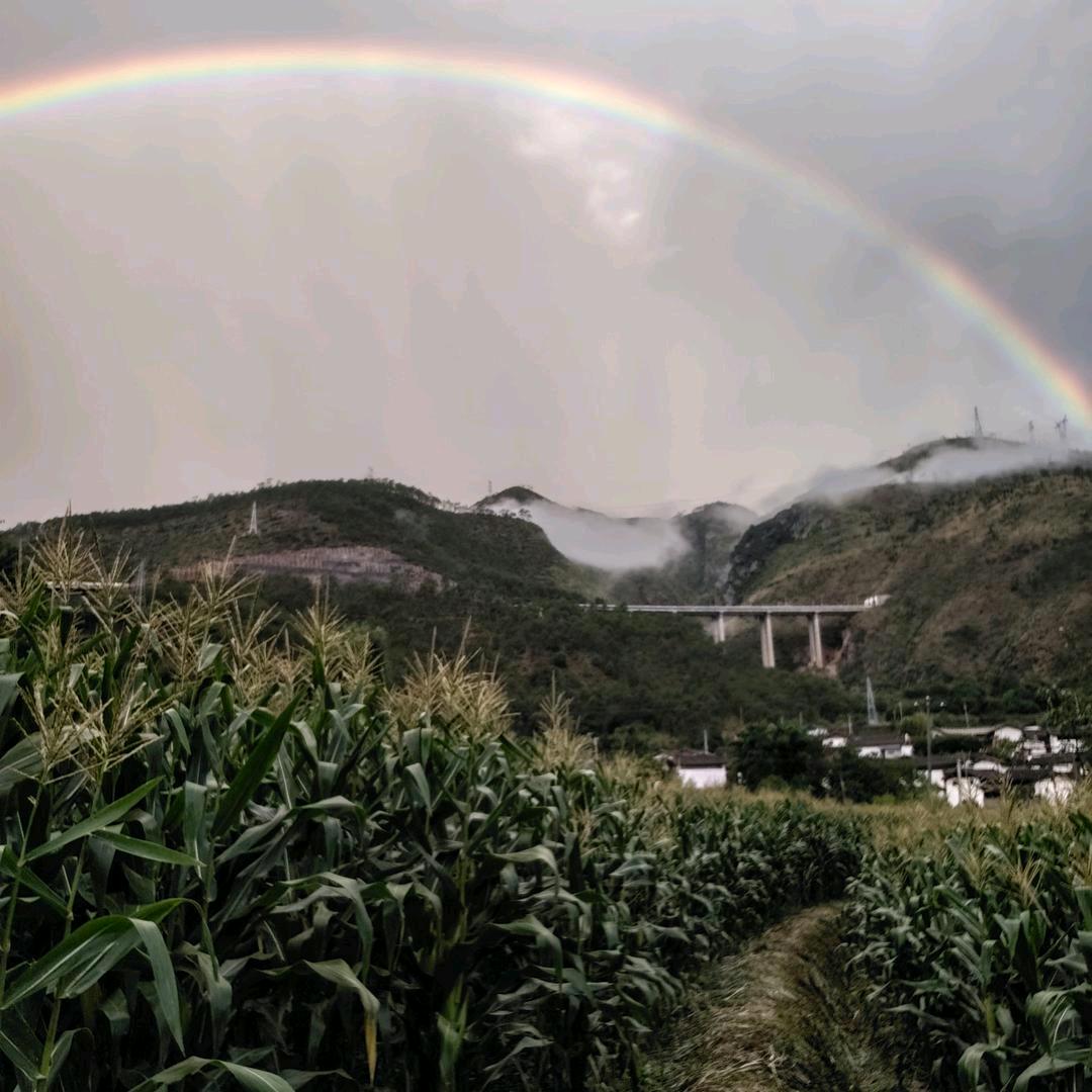 三哥