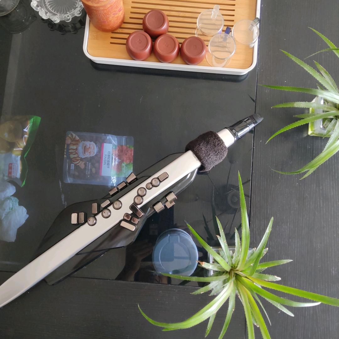 泉叔&音乐（电吹管、口琴）