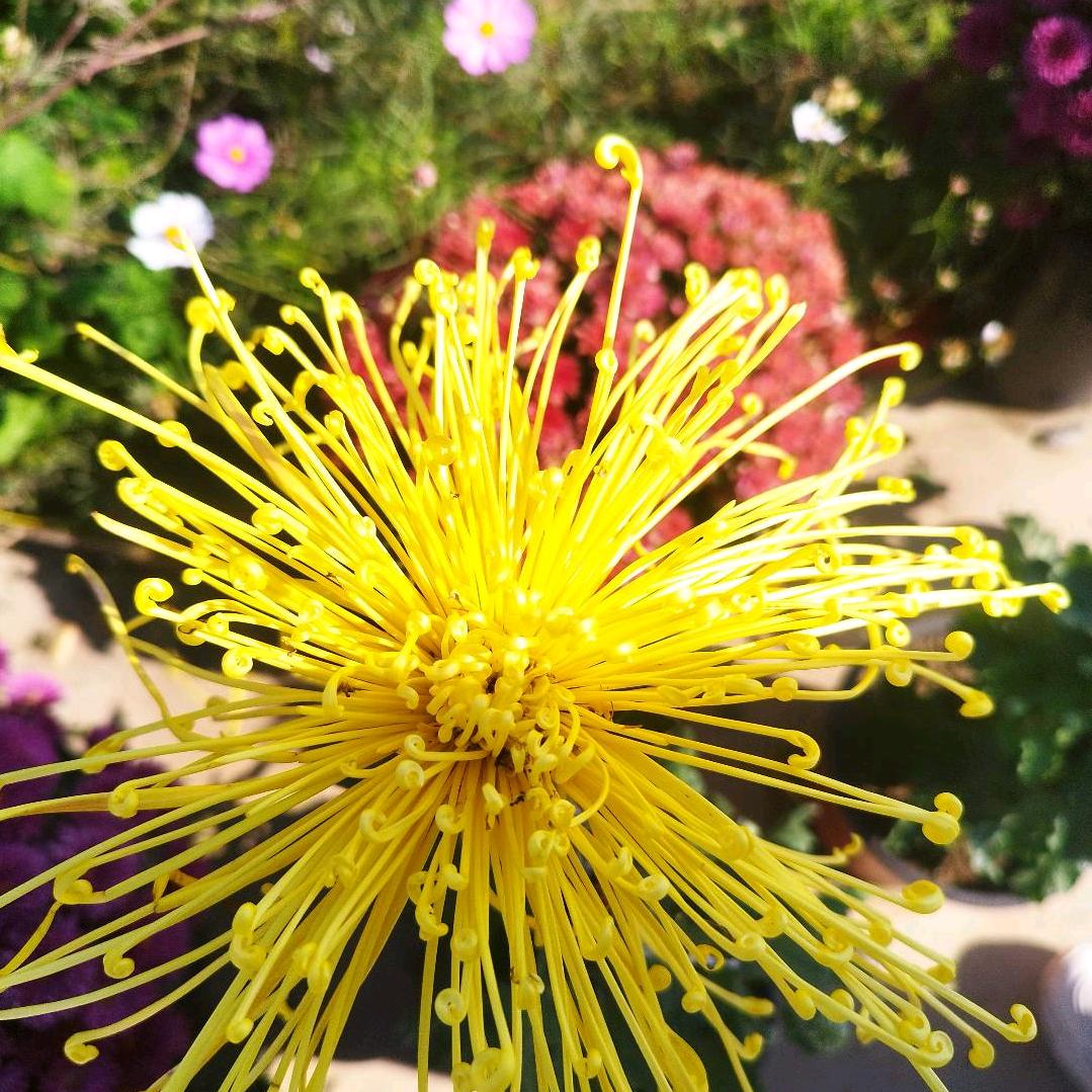 骑着蜗牛去旅行