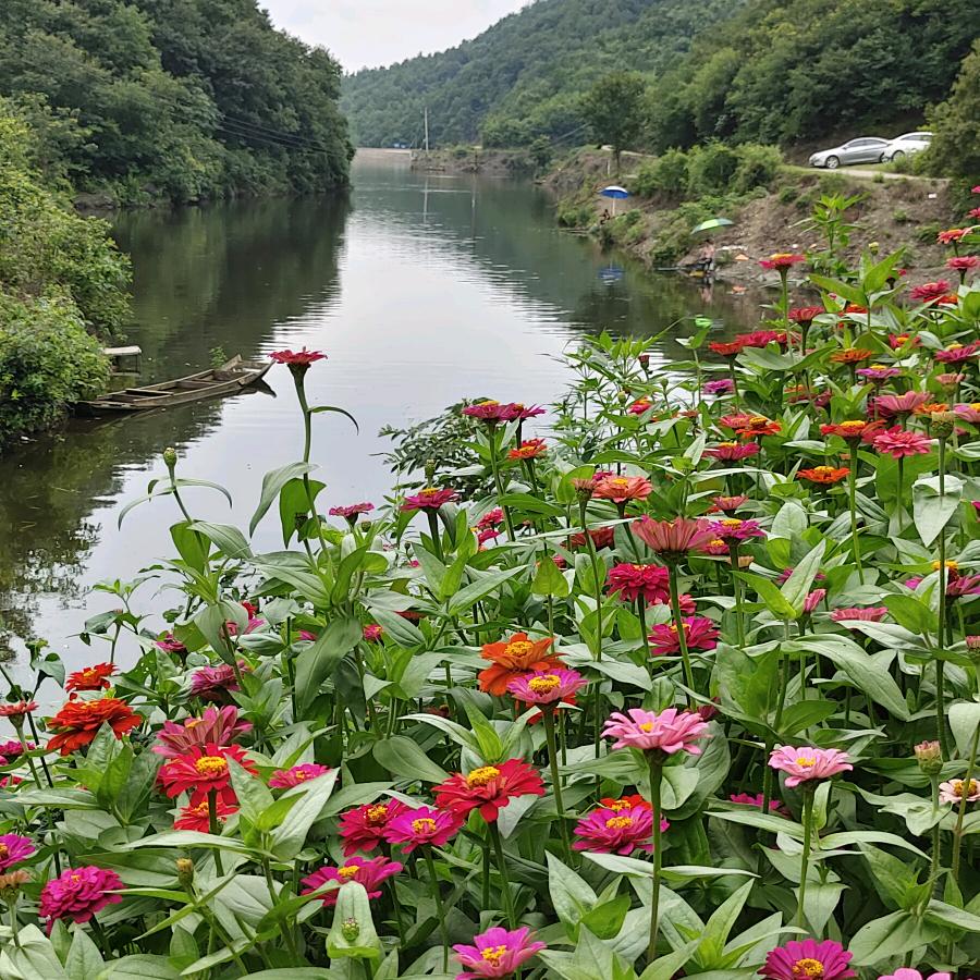 随县伶朵土特产