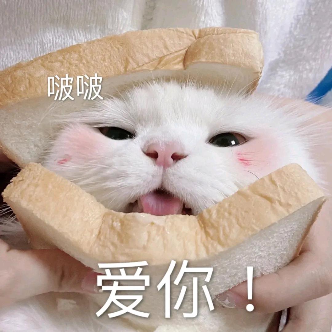 🌈謃星🌈