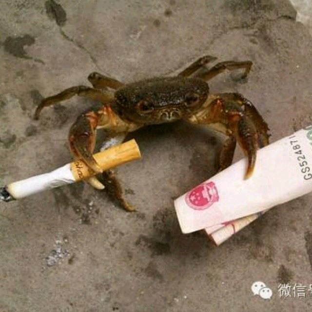 放学别打我⁹²¹