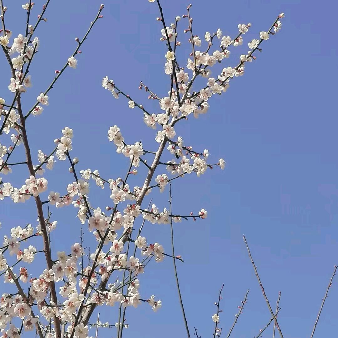 郑姐