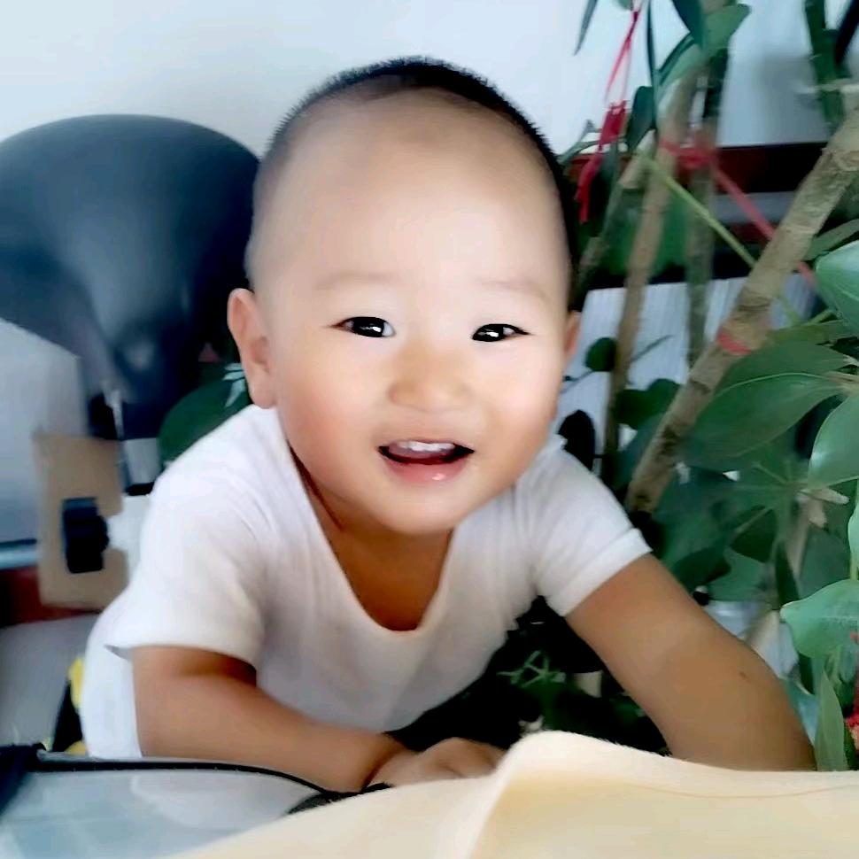 力提哈迷