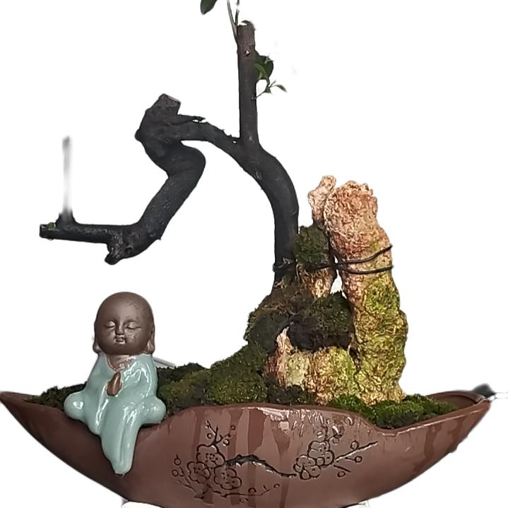 博诚金弹子农产品商贸