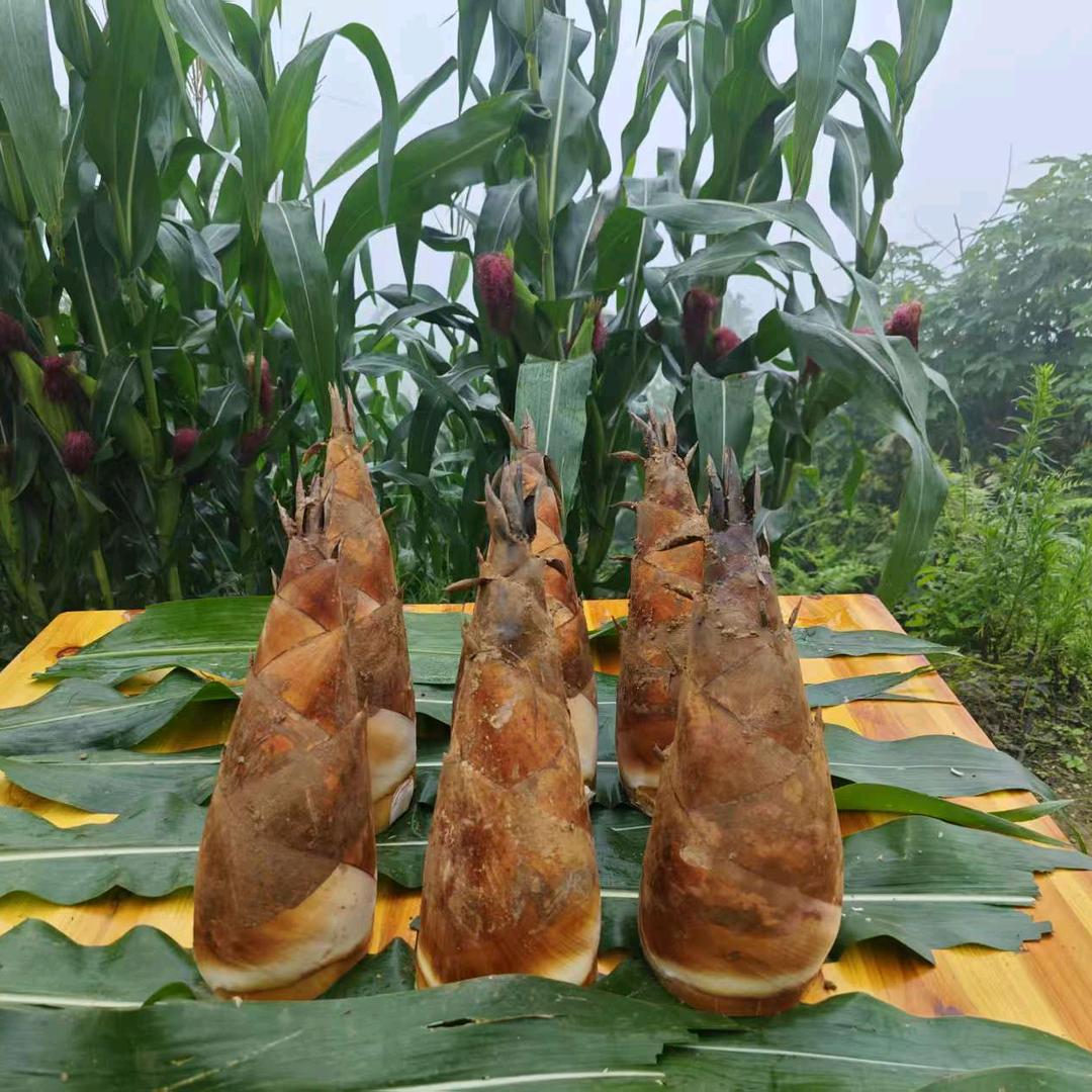 云岭鲜物仓