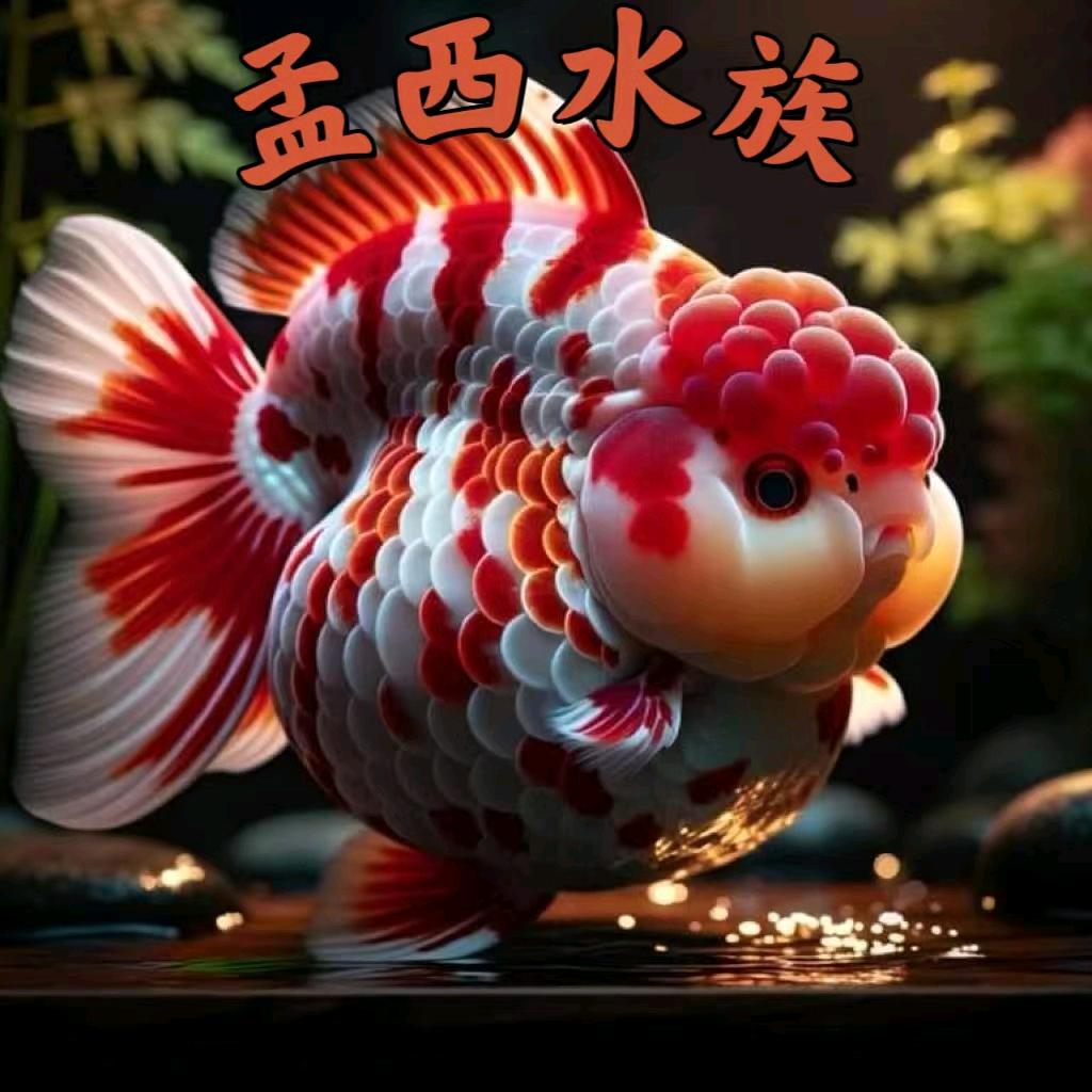 孟西水族馆