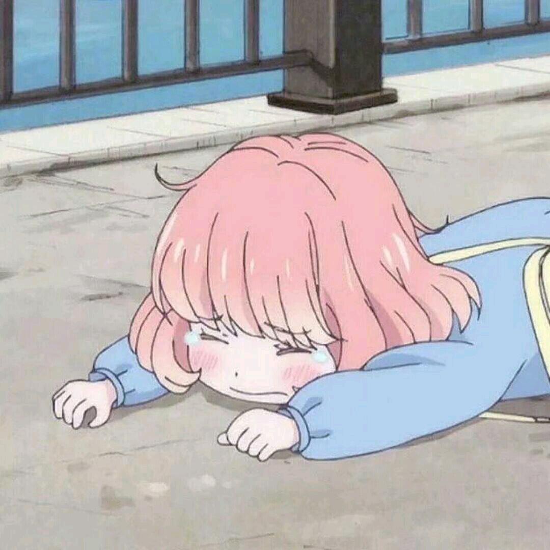 敦敦瘦不了🐾