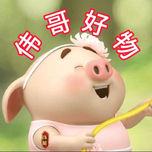 伟哥好物分享