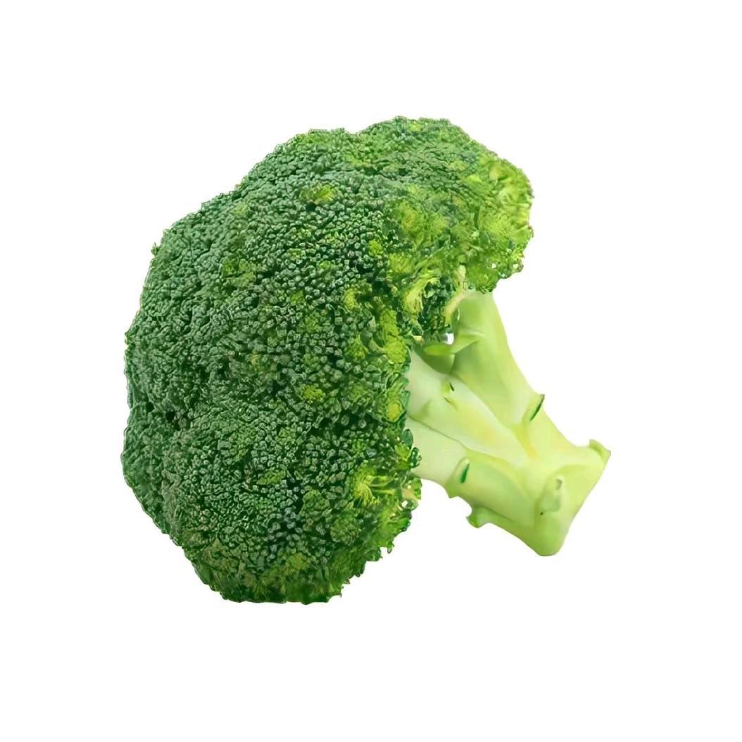 快乐小狗（向上版）