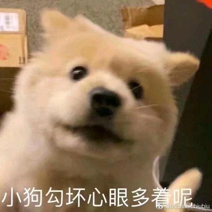草卫圆圆