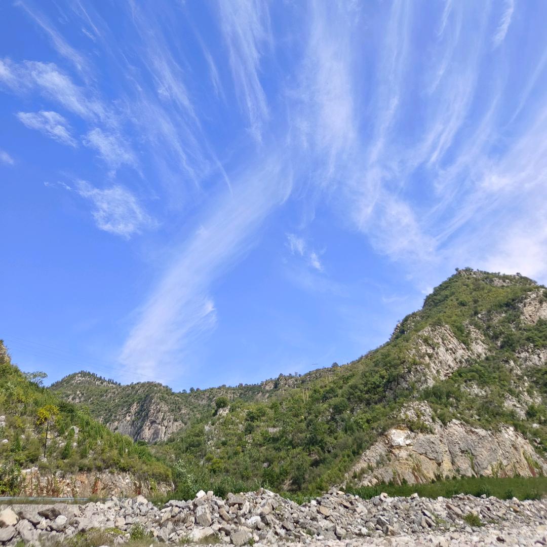 田田姐(橱窗有好物)