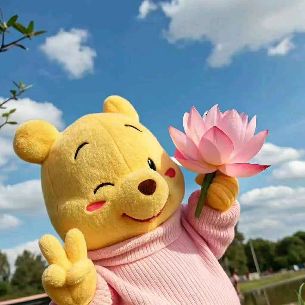 中老年旅行推荐官亭亭
