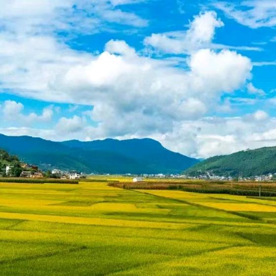 云上顺州