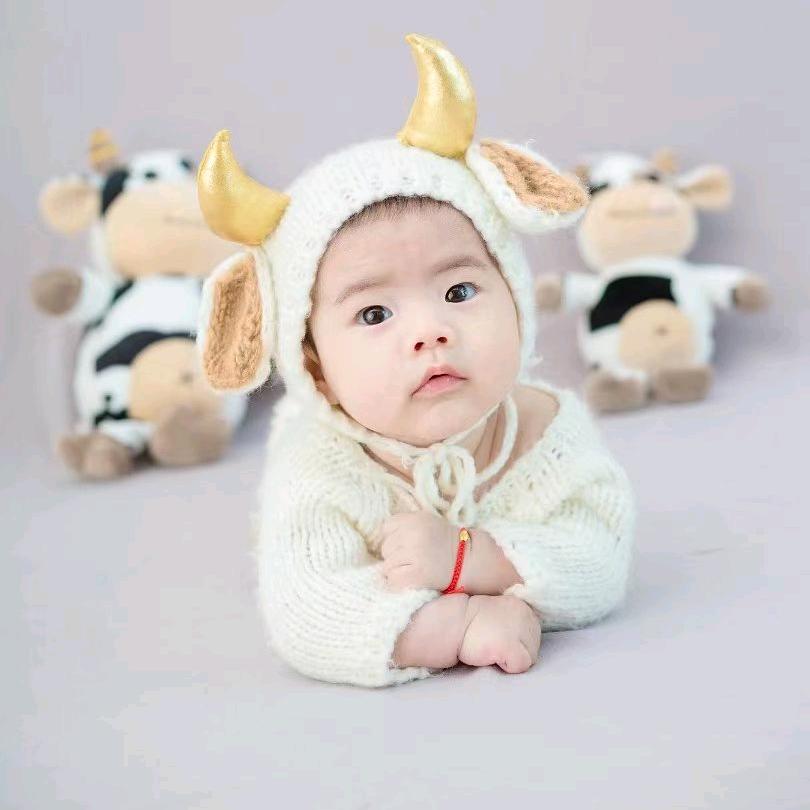 一只招财猫（孕期）