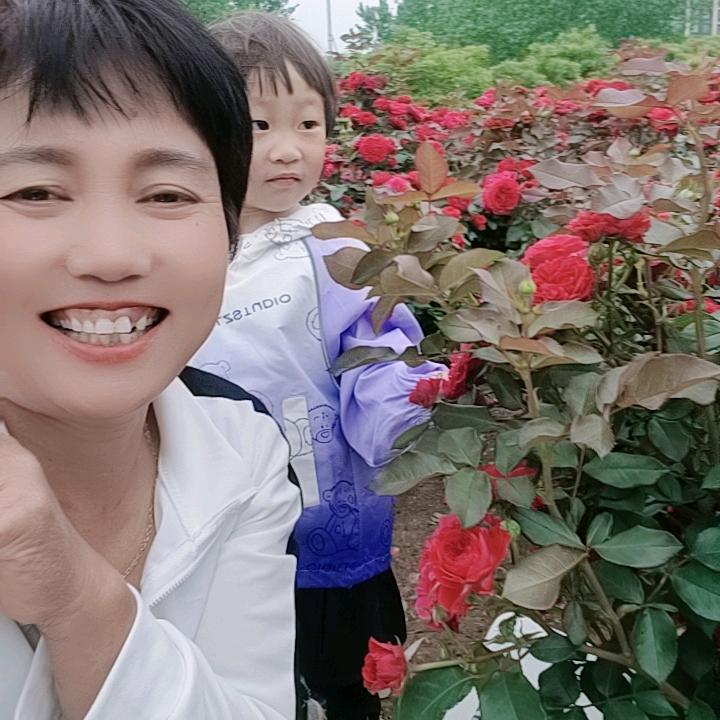 【家庭主妇】在线🔥