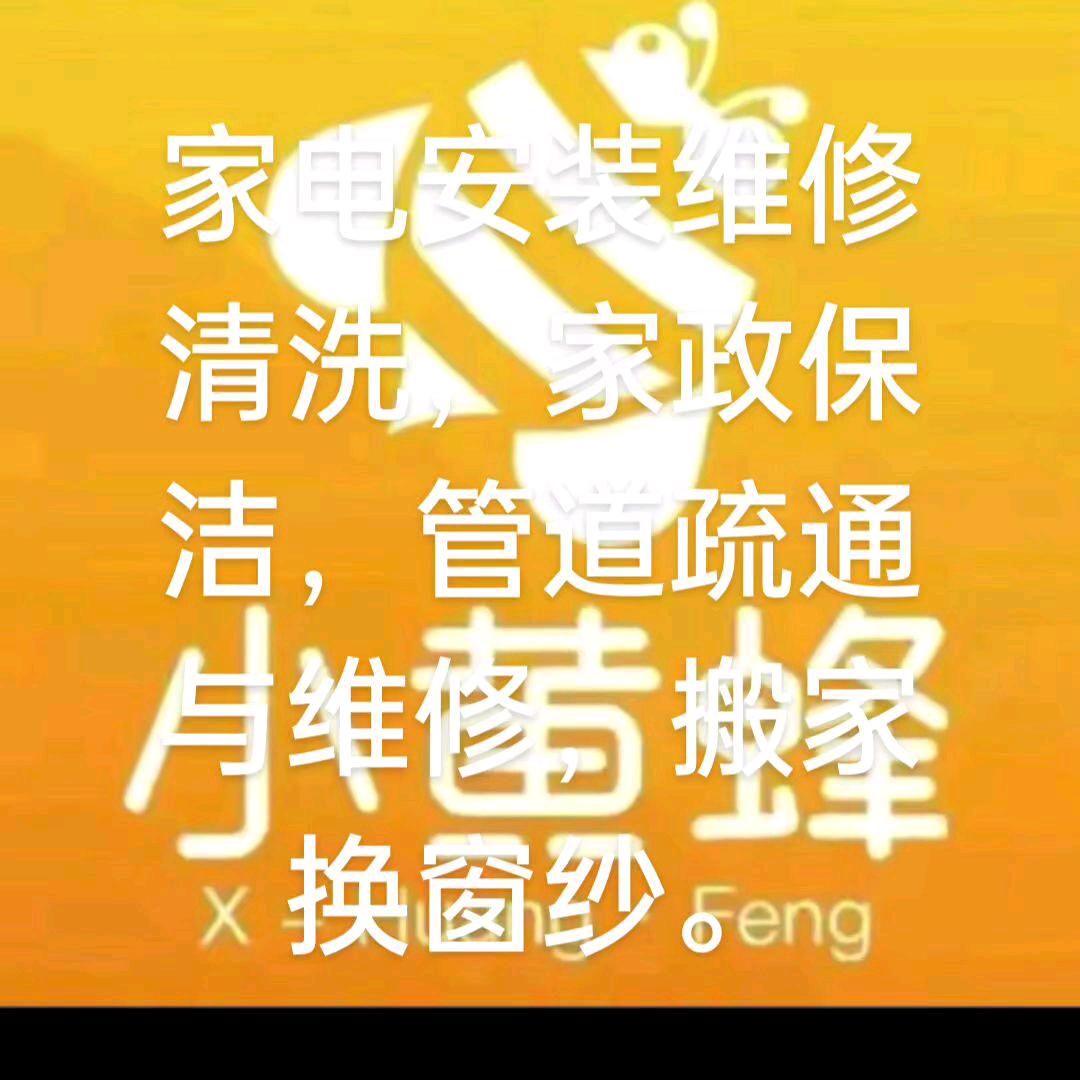 西峡小黄蜂家政