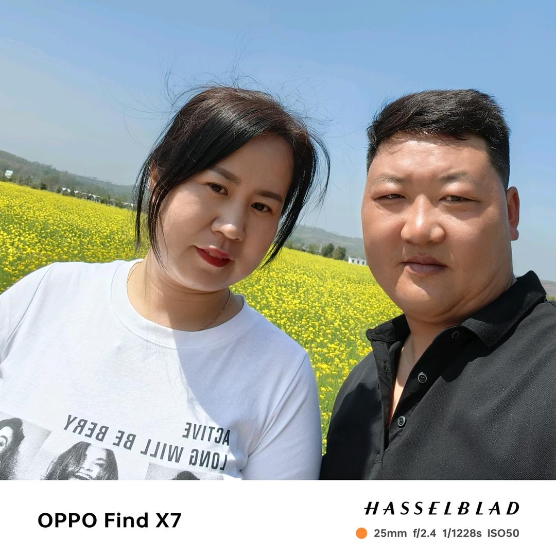 陈沟花田里烧烤