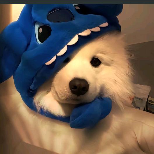 你的眼睛有颗沙子