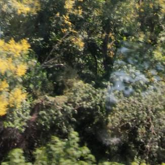 凡歌🎤¹⁹¹⁵