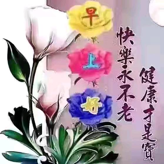香姐(^0^)/
