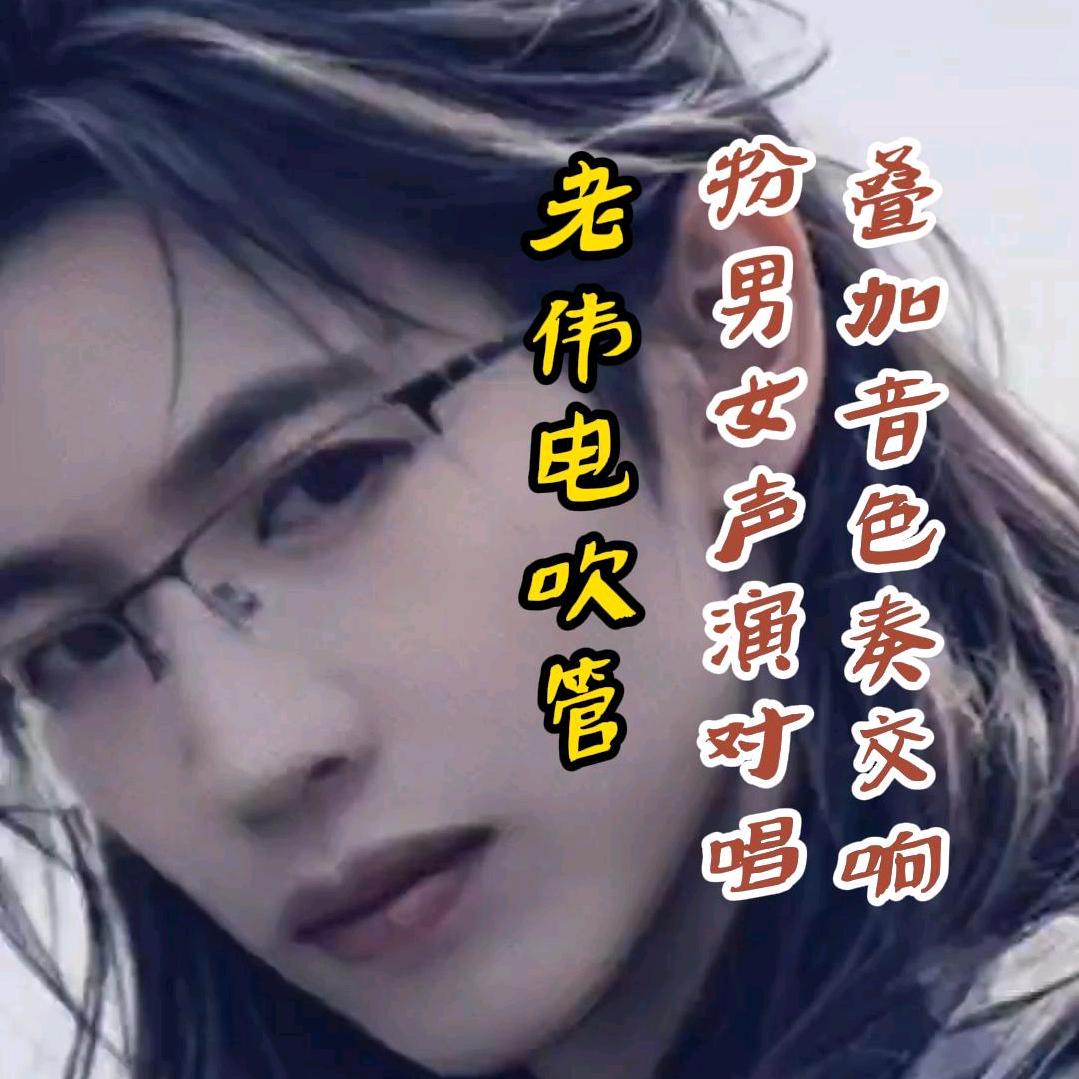 老伟电吹管