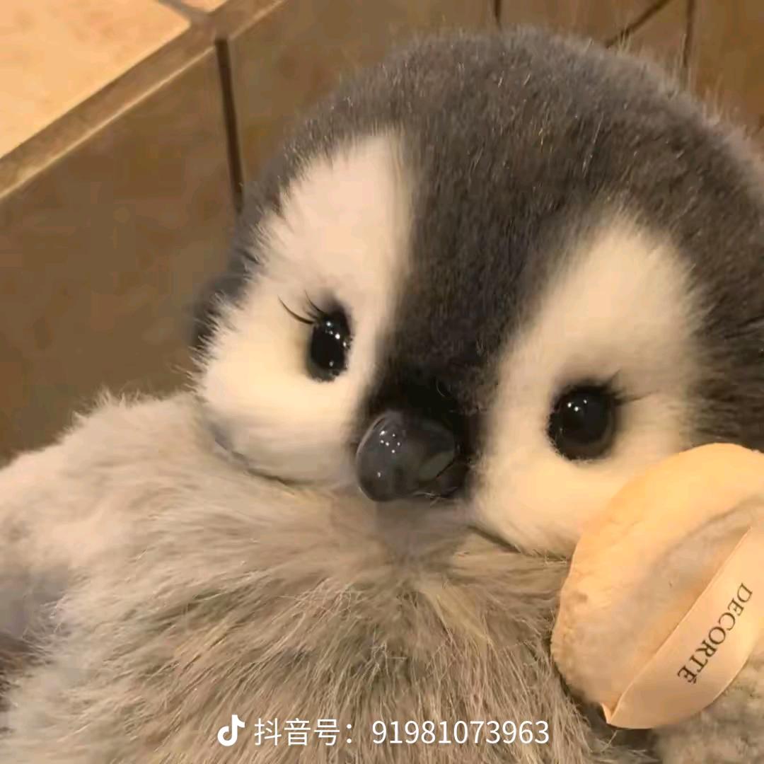 堂橙暖