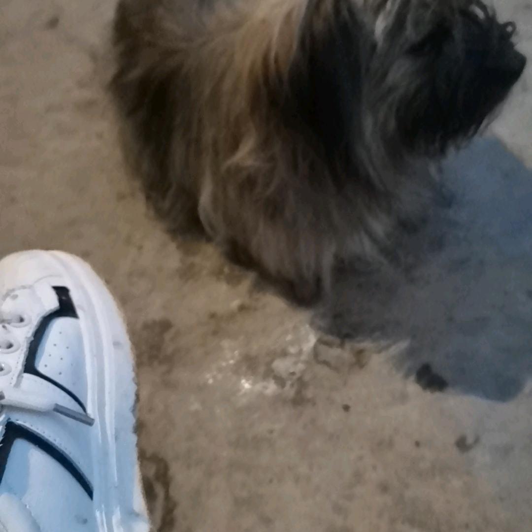 语儿