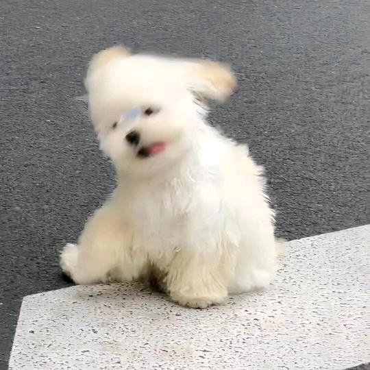 小魏耶.𝑠𝑚️