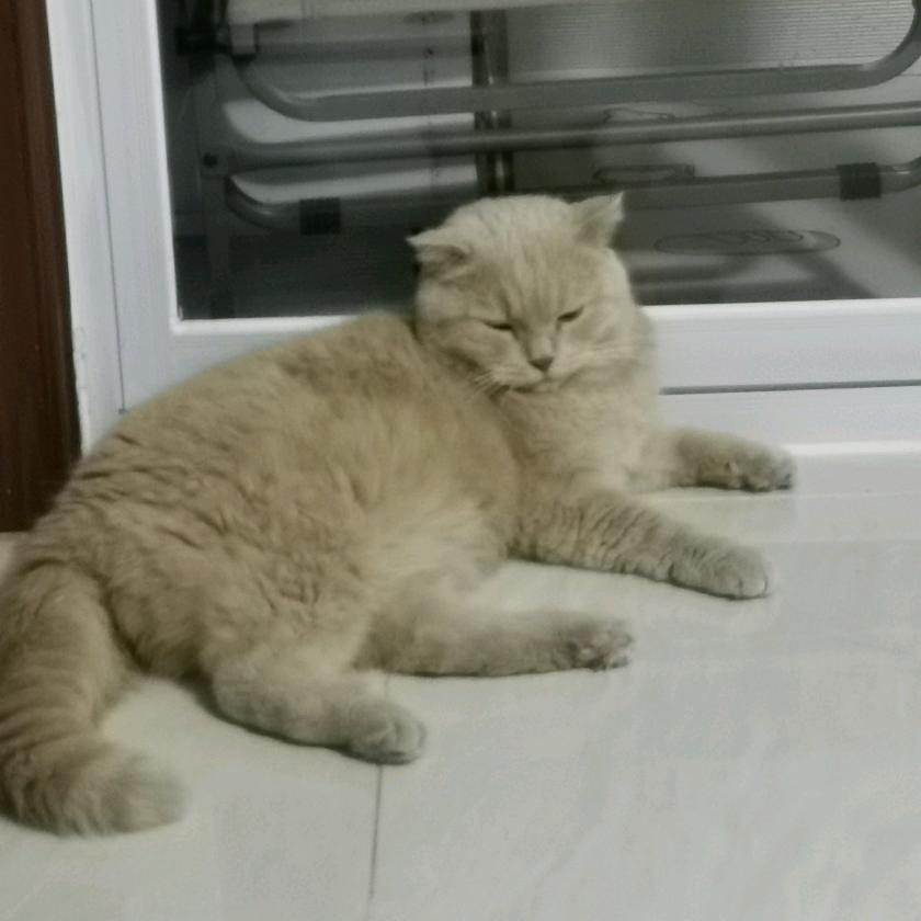 农村人