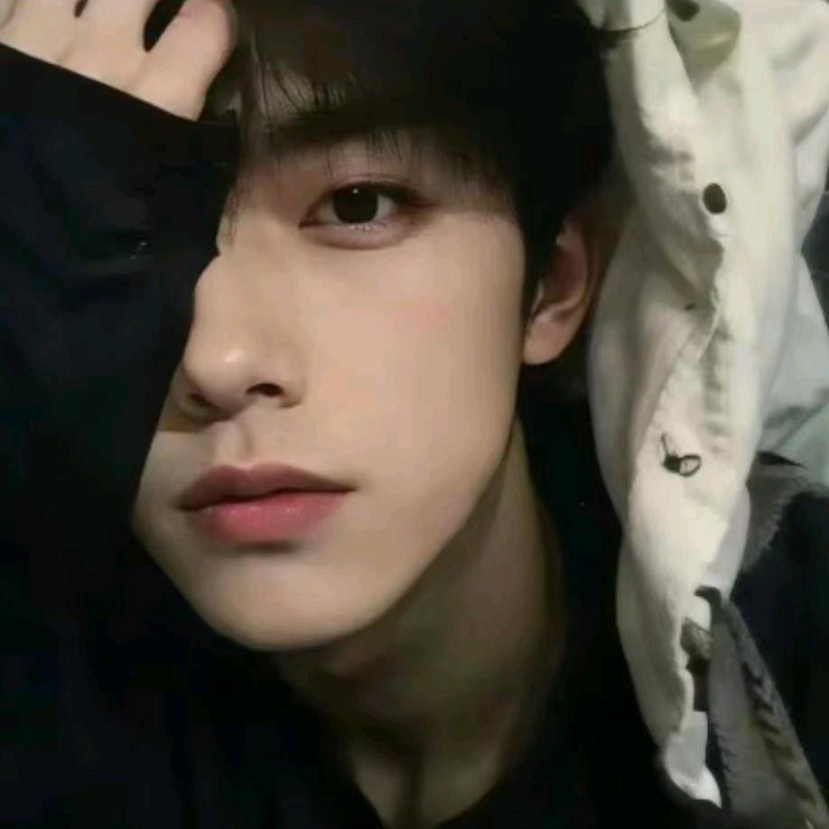 豪