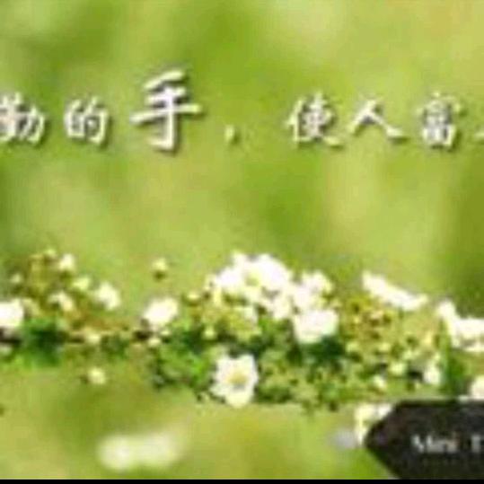 飘来的云