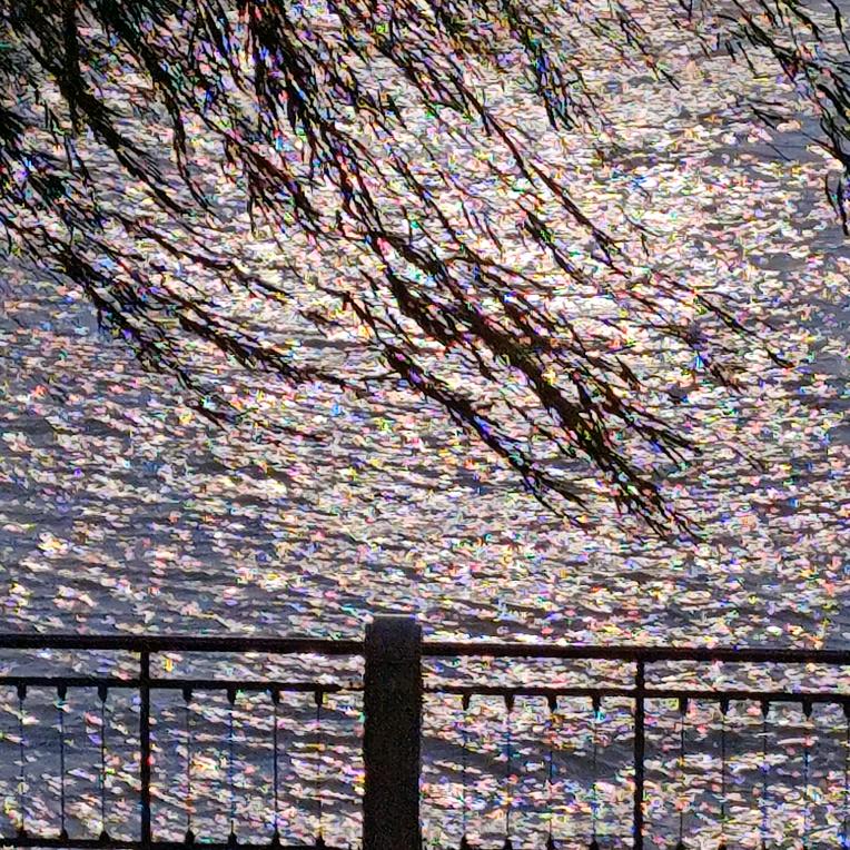 什么都想试试的果子🍎狸（黄埔在读）