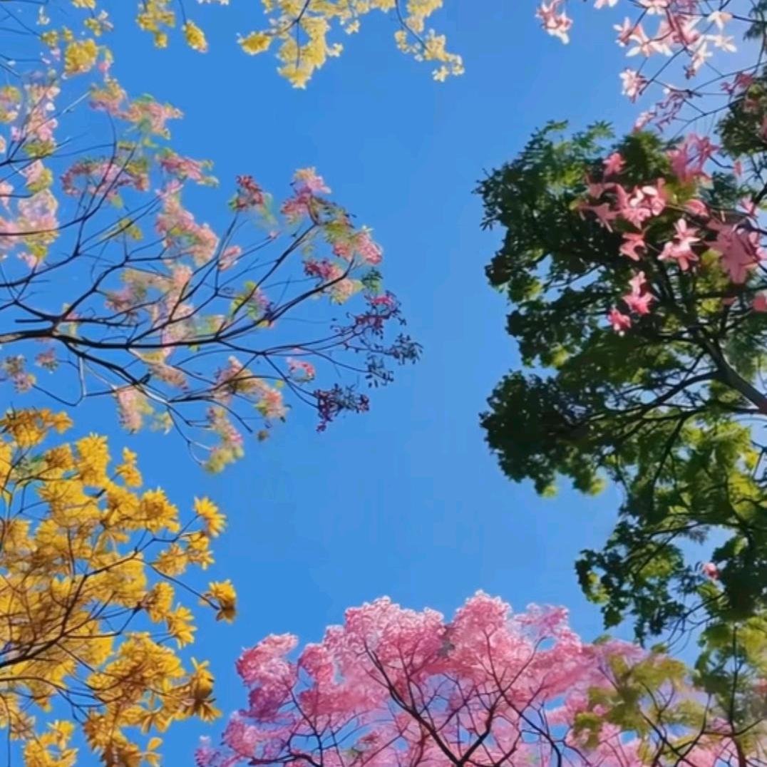 淡然