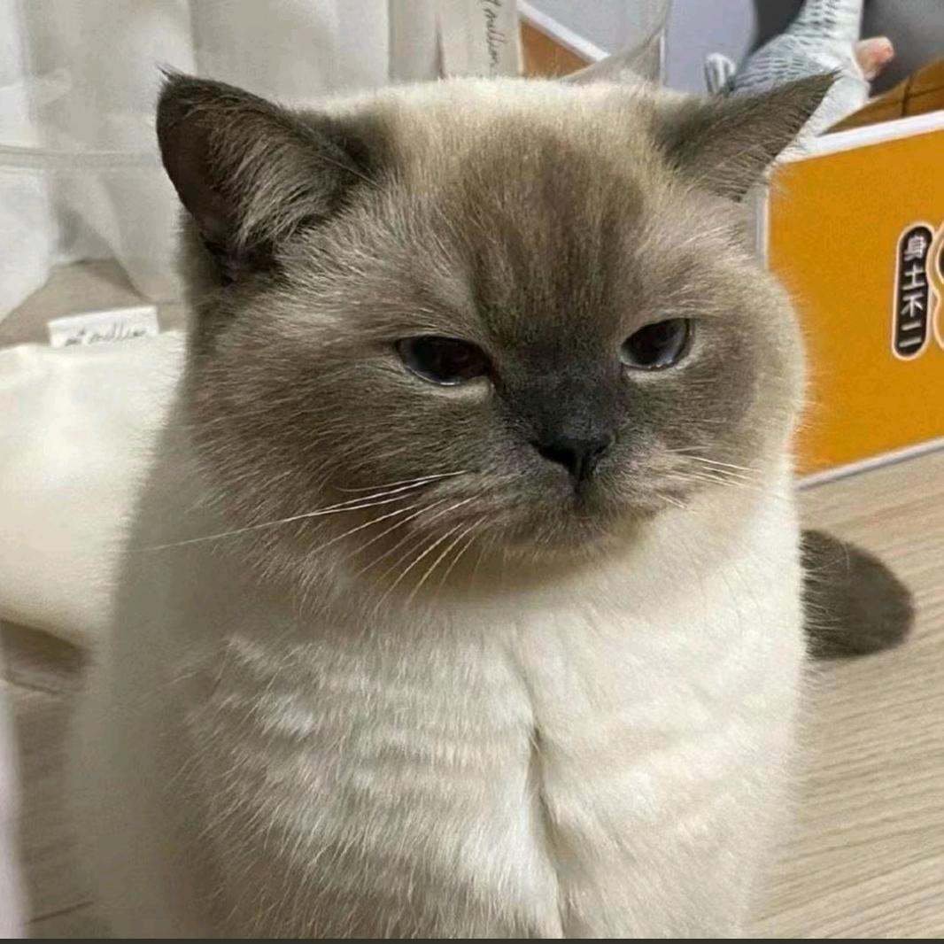 尔