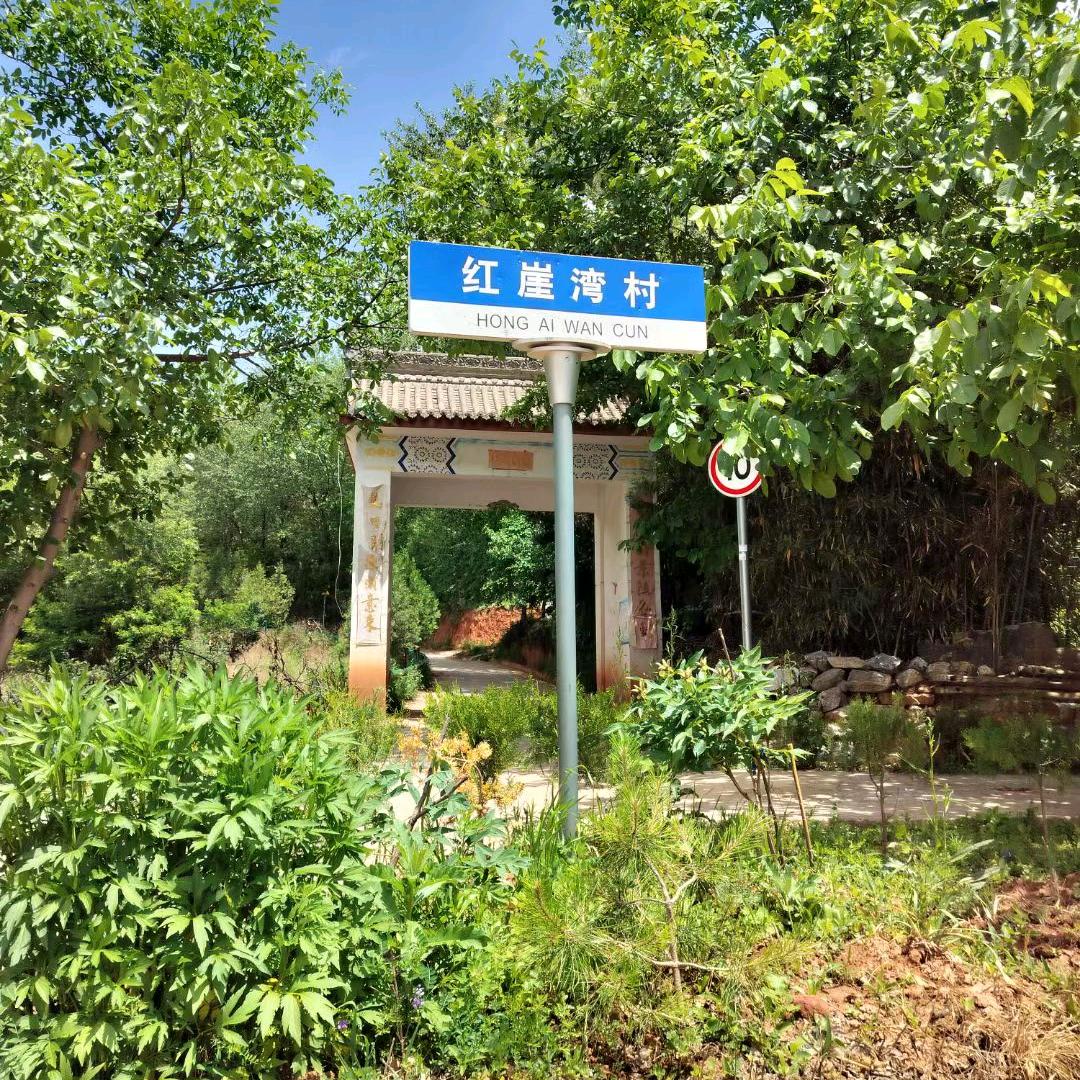 人生