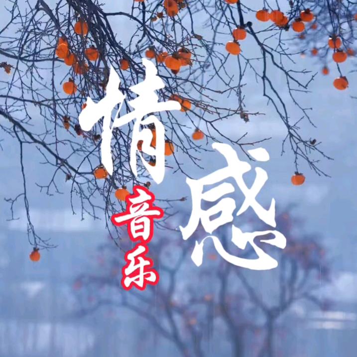 苏歌音乐