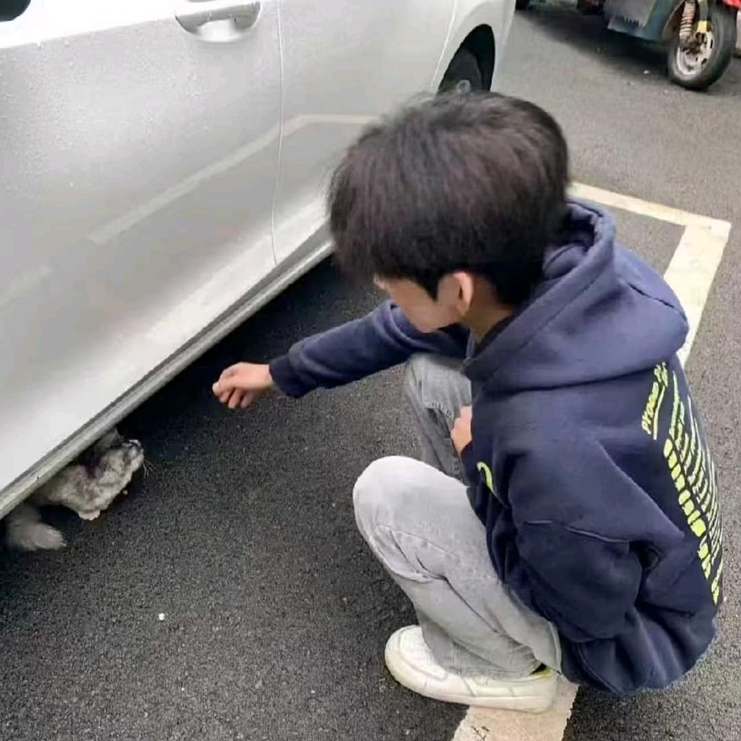 小哲不会踢球.