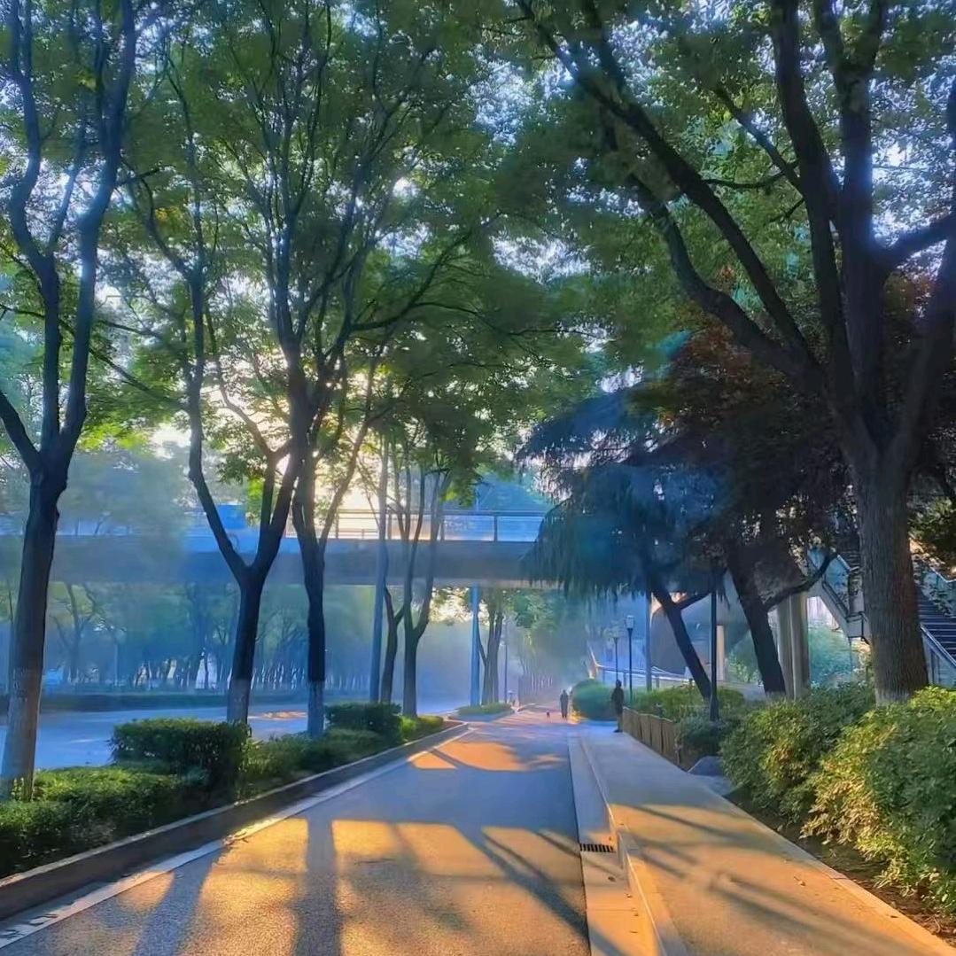 长相思，忆往昔