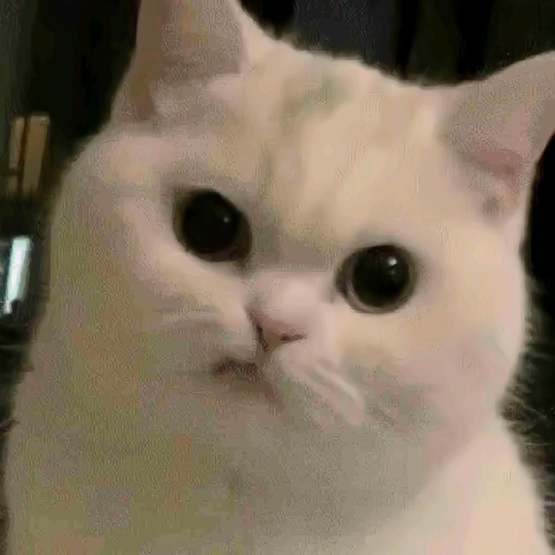 kinrg