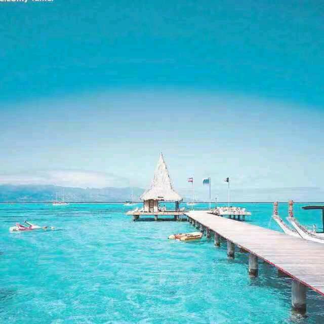 ╭(╯ε╰)╮一路相随