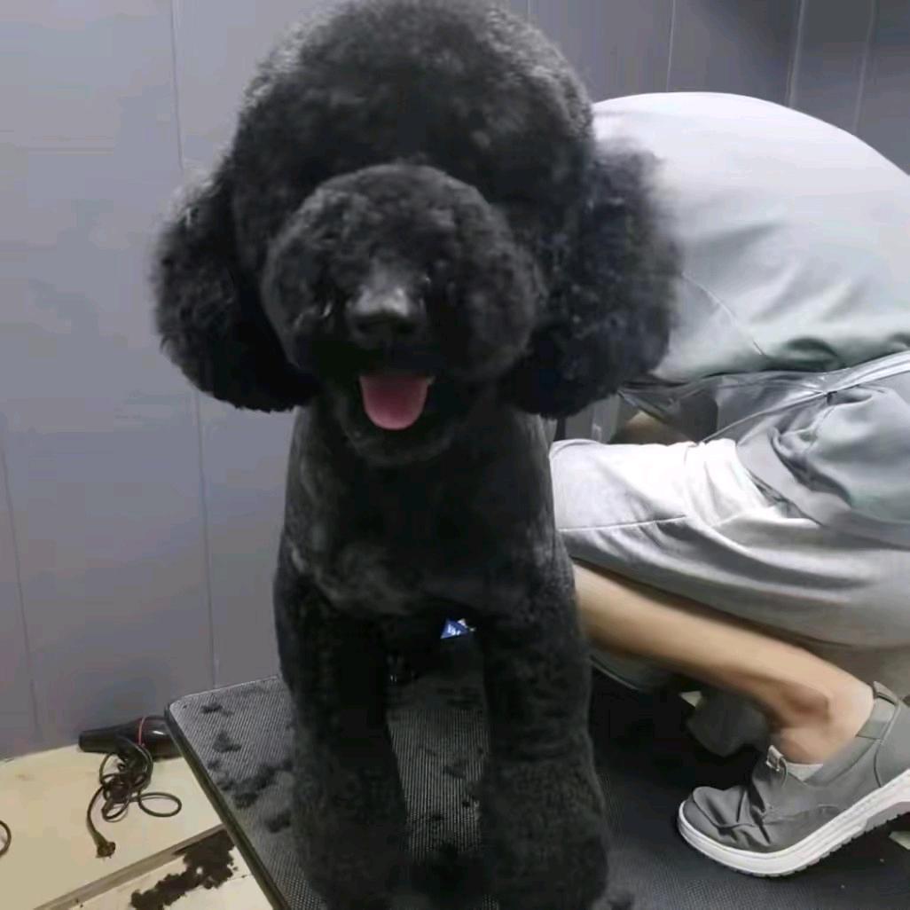 汤姆哥哥ོ⁹²⁷¹ོོ