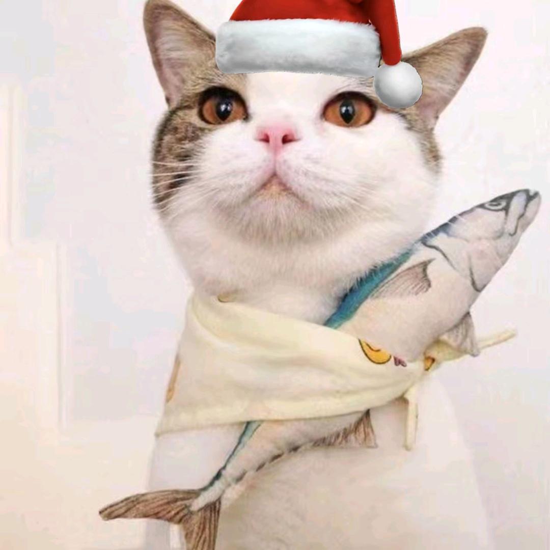 Lucky ㅤㅤㅤㅤㅤㅤㅤㅤ