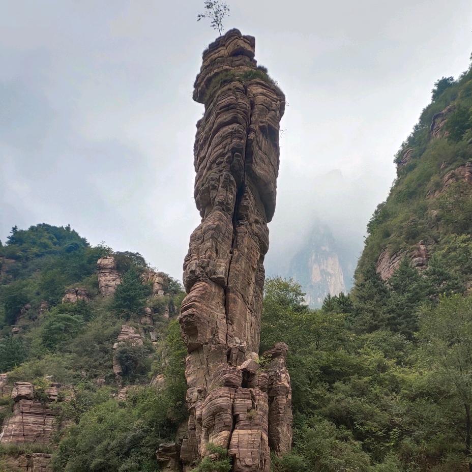 幸福伟